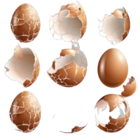 eggs and broken shells transparent background png