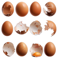 eggs and broken shells transparent background png