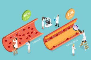 3D Isometric Flat Conceptual Illustration of HDL Vs. LDL Cholesterol vector