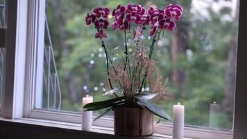 Relaxing Christmas scene with lit lantern and ditches and rain running down the window pane video