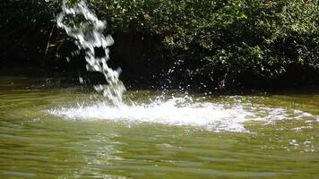 running water in a small waterfall of a tropical river in the middle of a wild Brazilian forest. Special for relaxing background and meditation. video