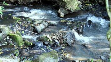 running water in a small waterfall of a tropical river in the middle of a wild Brazilian forest. Special for relaxing background and meditation. video