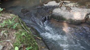 running water in a small waterfall of a tropical river in the middle of a wild Brazilian forest. Special for relaxing background and meditation. video