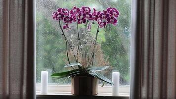 Relaxing Christmas scene with lit lantern and ditches and rain running down the window pane video