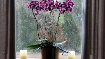 Relaxing Christmas scene with lit lantern and ditches and rain running down the window pane video