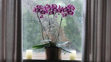 Relaxing Christmas scene with lit lantern and ditches and rain running down the window pane video