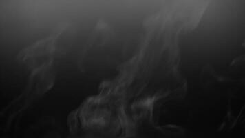 Soft Fog on Dark Backdrop. Realistic Atmospheric Gray Smoke on Black Background. White Fume Slowly Floating Rises Up. Abstract Haze Cloud. Animation Mist Effect. Smoke Stream Effect 4K video
