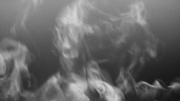 Soft Fog on Dark Backdrop. Realistic Atmospheric Gray Smoke on Black Background. White Fume Slowly Floating Rises Up. Abstract Haze Cloud. Animation Mist Effect. Smoke Stream Effect 4K video