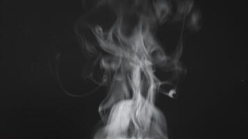 Soft Fog on Dark Backdrop. Realistic Atmospheric Gray Smoke on Black Background. White Fume Slowly Floating Rises Up. Abstract Haze Cloud. Animation Mist Effect. Smoke Stream Effect 4K video