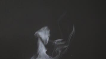 Soft Fog on Dark Backdrop. Realistic Atmospheric Gray Smoke on Black Background. White Fume Slowly Floating Rises Up. Abstract Haze Cloud. Animation Mist Effect. Smoke Stream Effect 4K video