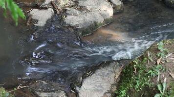 running water in a small waterfall of a tropical river in the middle of a wild Brazilian forest. Special for relaxing background and meditation. video