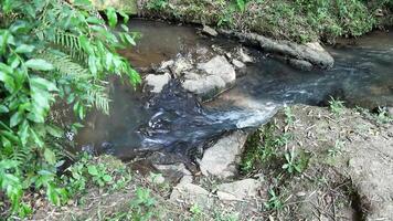 running water in a small waterfall of a tropical river in the middle of a wild Brazilian forest. Special for relaxing background and meditation. video