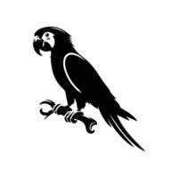 bird perching on tree branch looking back illustration vector