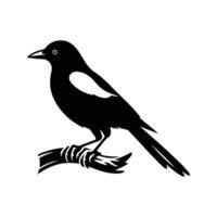 Elegant silhouette myna bird illustration, perfect for nature-themed designs, print, web, and creative projects. vector