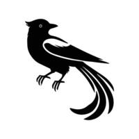 Myna Bird Silhouette Art Design Illustration vector