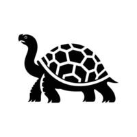 Graphic sea turtle. illustration vector