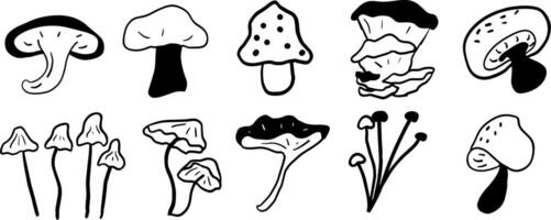 Simple Mushroom Illustrations for Forest and Nature Designs vector