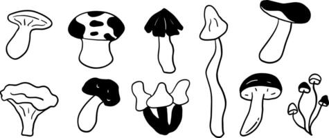 Minimalist Mushroom Doodles for Nature and Forest Art vector