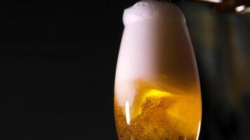 pouring beer into pint in motion. Filmed on high speed cinema camera, 1000 fps. Camera placed on high speed cine bot. Speed ramp effect. video