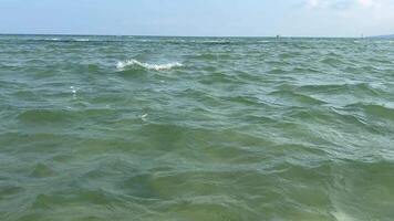 Sea, top view. Reflection of the sun and calm waves. Real top view of the ocean from drone video