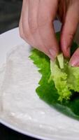 spring rolls Summer rolls with fresh vegetables and meat and peanut sauce. Vietnamese appetizer. Salad spring rolls with pork. Healthy food concept video
