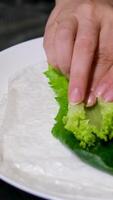 spring rolls Summer rolls with fresh vegetables and meat and peanut sauce. Vietnamese appetizer. Salad spring rolls with pork. Healthy food concept video