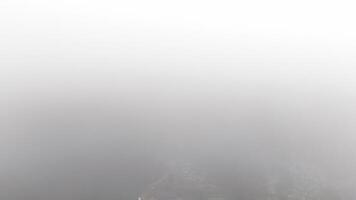 Foggy forest with hidden houses - A dense forest blanketed in thick fog with a small cluster of modern houses barely visible in the clearing below. video