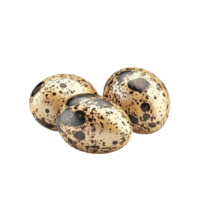 Three Eggs with Black Spots on Transparent Background png