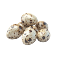 Quail Eggs on Transparent Background png