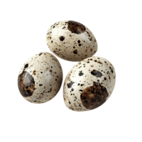 Quail Eggs on Transparent Background png