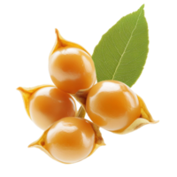 Bunch of Nuts with Leaves and Gold Bow on Transparent Background on a white background png