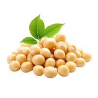 Soybeans with green leaves on transparent background png