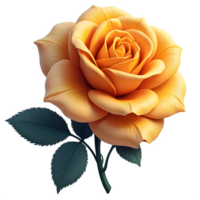 Single yellow rose with a bud transparent background , png