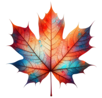 Maple leaf canadian maple leaf colorful maple's leaf transparent background image png