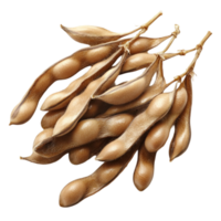 Soybeans are a type of legume that is used in many different foods png