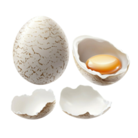 An egg and shell are shown in this image png