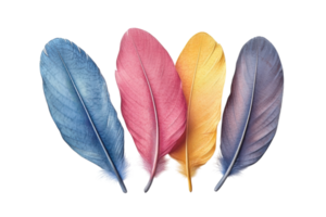 Vibrant colored feathers arranged in a row showcasing nature's artistry and diversity in hues and textures png