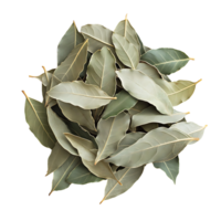 A pile of bay leaves isolated on transparent background png
