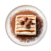 A piece of cake on a plate with chocolate and sprinkles png