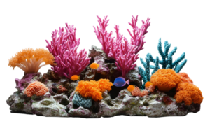 An aquarium with coral and other colorful fish png