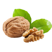 Walnuts with leaves and walnuts png