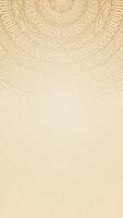 Hand Drawn Circular Mandala Art with Detailed Patterns on Clean And Soft Vertical Background Design vector