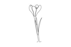 fresh croci for home wall decor . Printable decorative crocus flower for invitation card. Dynamic one line draw graphic design illustration vector