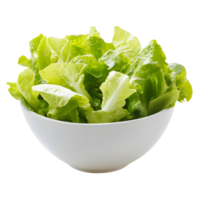 A bowl of green lettuce is sitting on a white background png