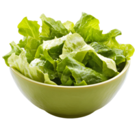 A bowl of green lettuce is sitting on a white background png