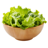 A bowl of green lettuce is sitting on a white background png