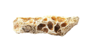 Exploring the Intricate Natural Textures of a Coral Piece for Use in Aquatic or Marine-Themed Designs. png