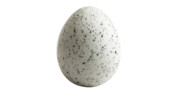A Sophisticated Polished Marble Egg with Distinctive Speckles on a Pristine White Surface for Elegant Home Decor or Artistic Displays. png