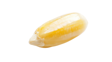 A Detailed Close-Up of a Single Buttered Popcorn Kernel Ideal for Food Bloggers and Snack Enthusiasts. png