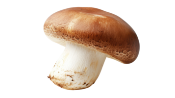 Single Button Mushroom on a White Background Perfect for Culinary and Nutrition Purposes, Ideal for Food Blogs and Recipe Websites. png